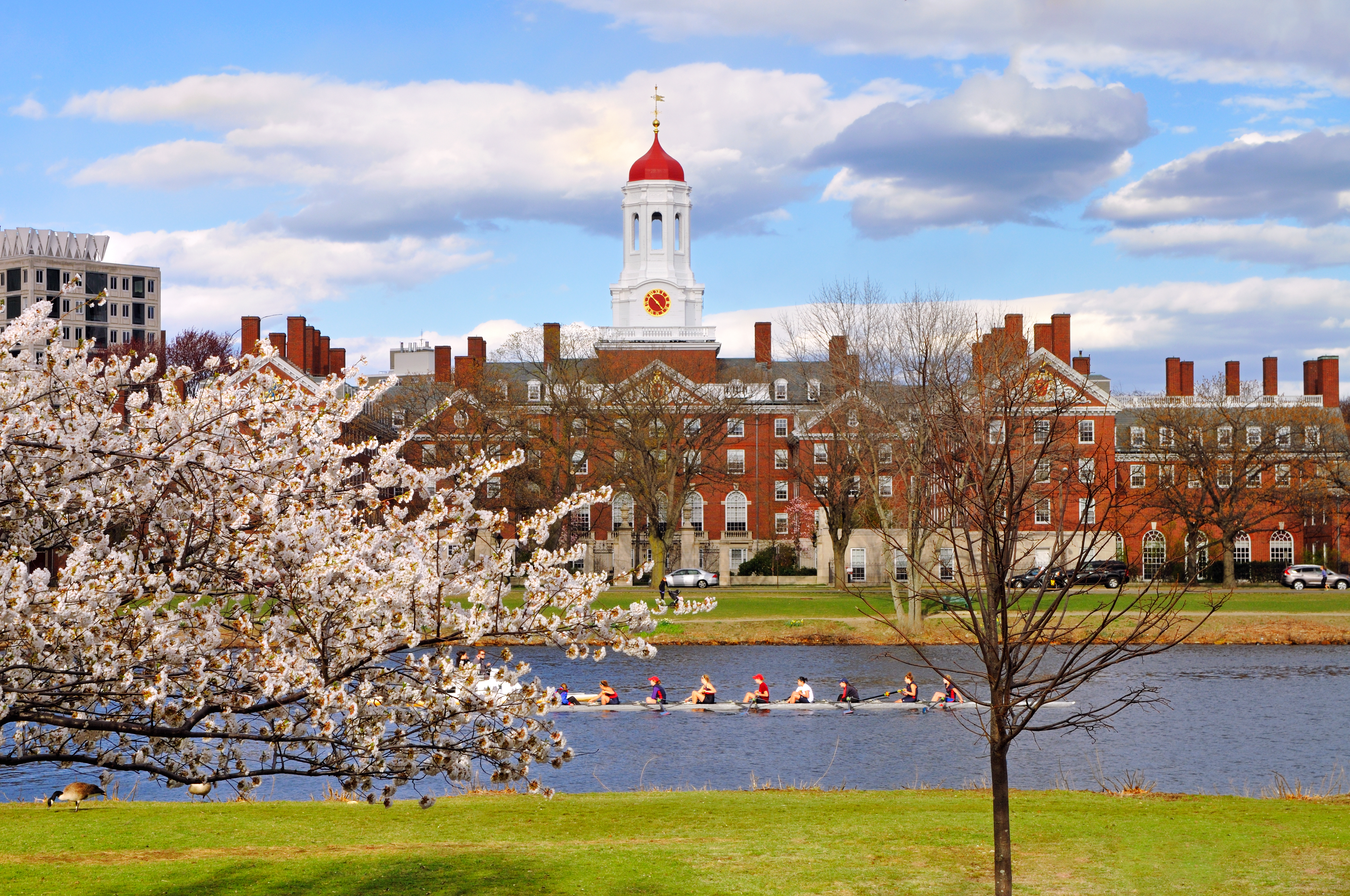 Harvard University endowment shows support for crypto